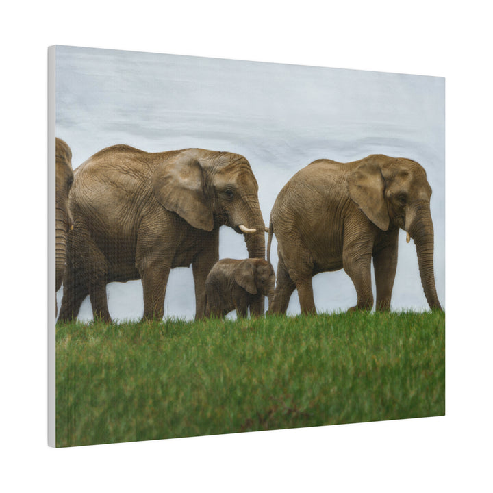 Wall Decor Giclee Fine Art Print - African Elephants Nature Safari Wildlife