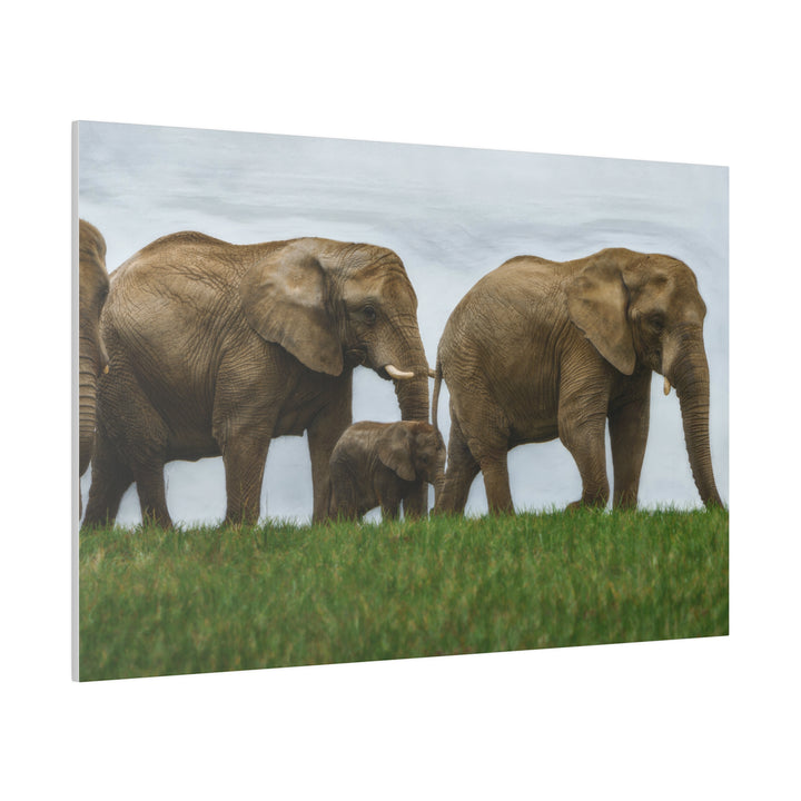 Wall Decor Giclee Fine Art Print - African Elephants Nature Safari Wildlife