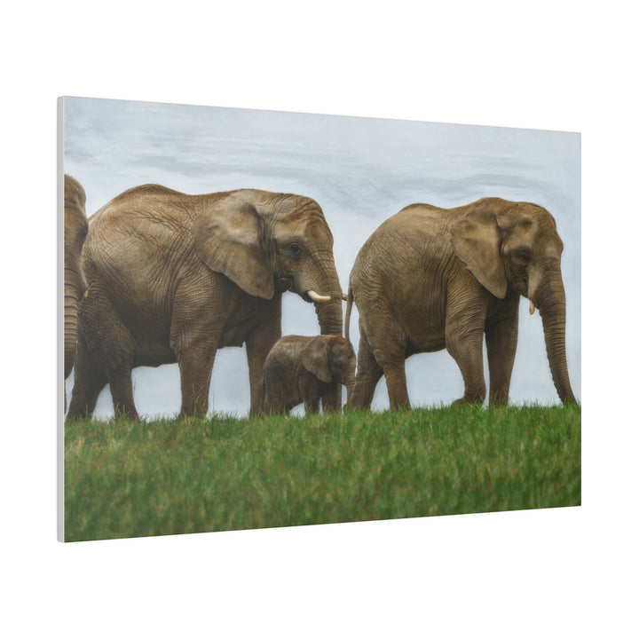 Wall Decor Giclee Fine Art Print - African Elephants Nature Safari Wildlife