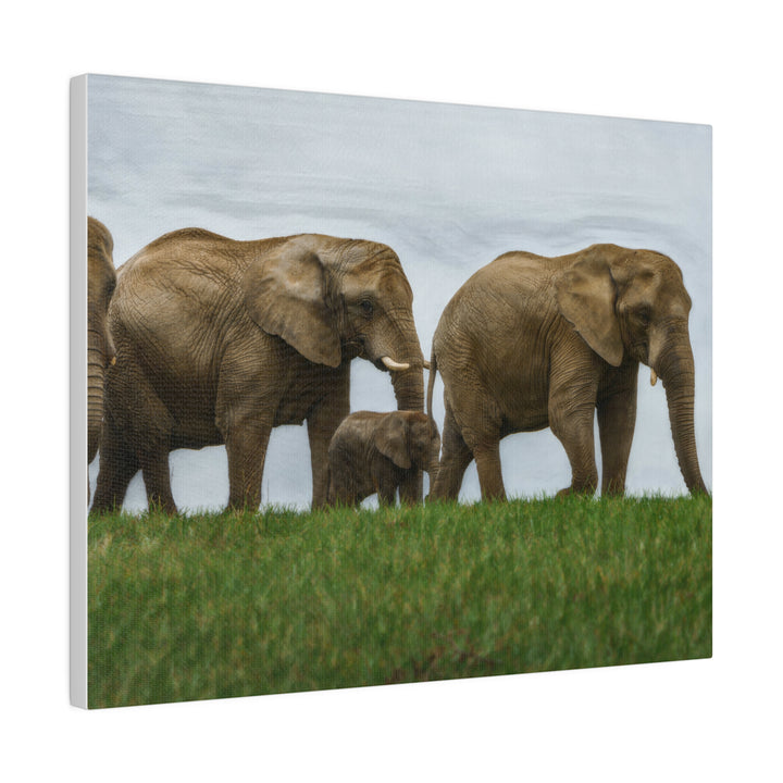 Wall Decor Giclee Fine Art Print - African Elephants Nature Safari Wildlife