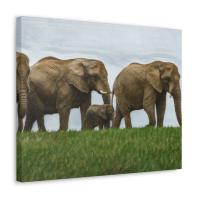 Wall Art Decor Canvas Print Artwork African Elephants Nature Safari Wildlife