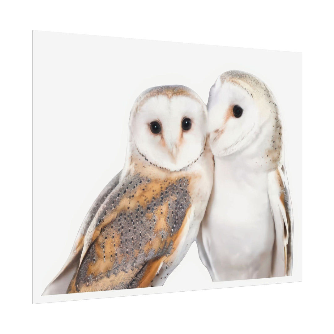 Wall Decor Giclee Print Two White Owls - Poster