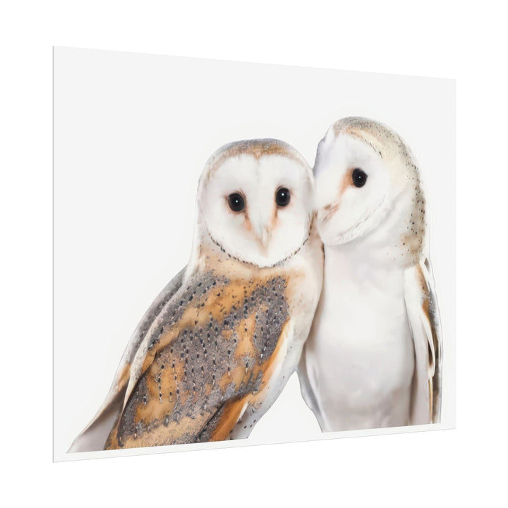 Wall Decor Giclee Print Two White Owls - Poster