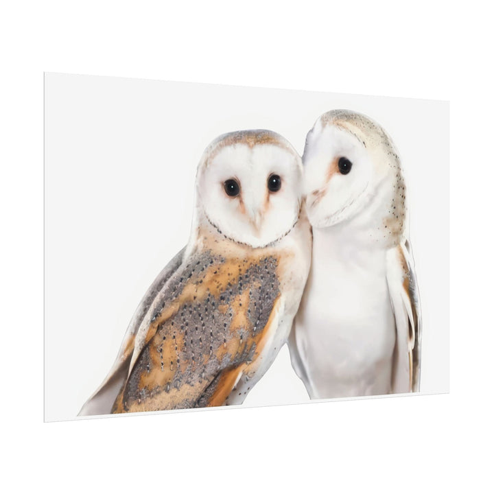 Wall Decor Giclee Print Two White Owls - Poster