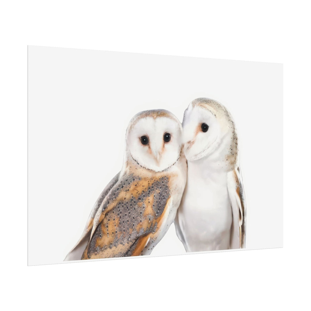 Wall Decor Giclee Print Two White Owls - Poster